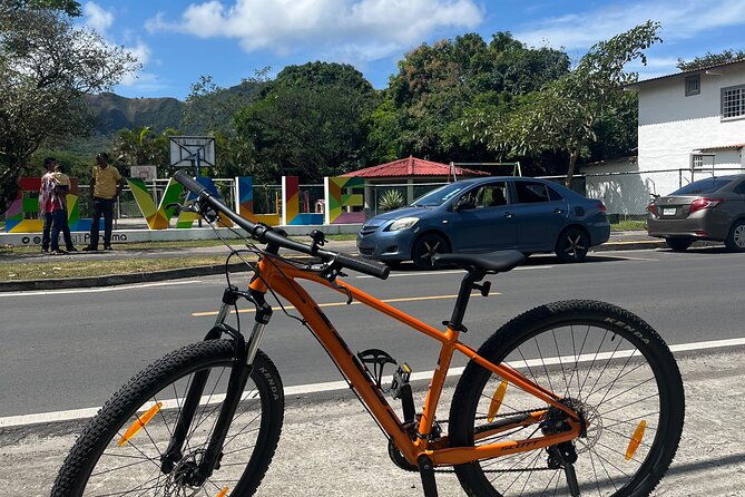 regular-bike-rental-by-e-valley-bikes