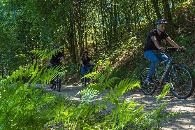 rent-bikes-e-bikes