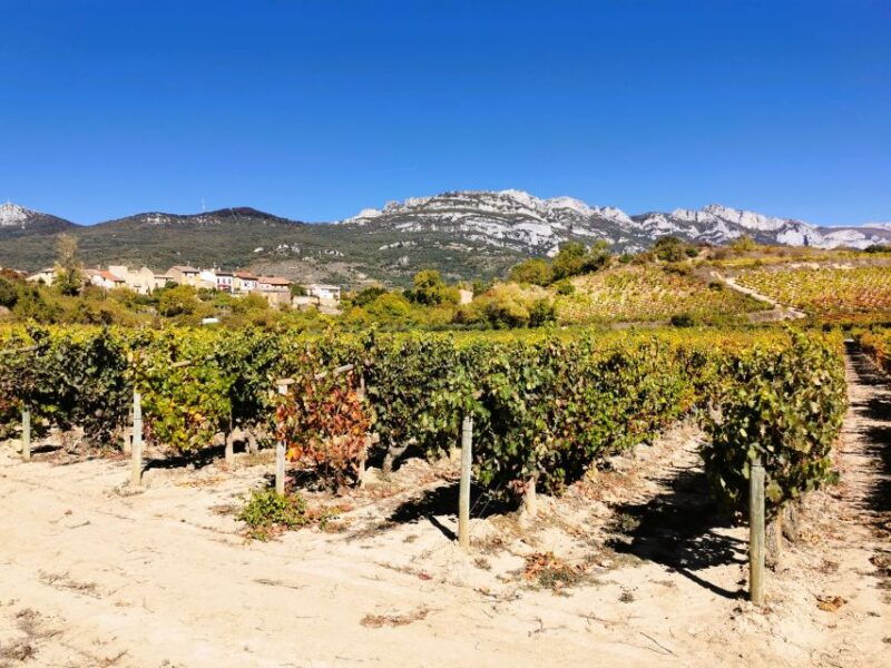 ribera-del-duero-wine-region-private-tour