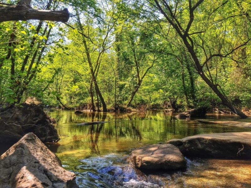 richmond-guided-hike-in-james-river-park