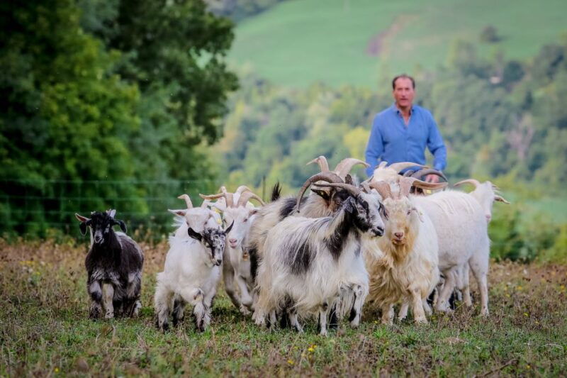 rimini-san-leo-cashmere-farm-experience