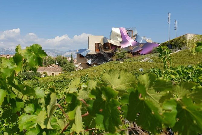 rioja-wine-tour-winery-traditional-lunch-from-pamplona