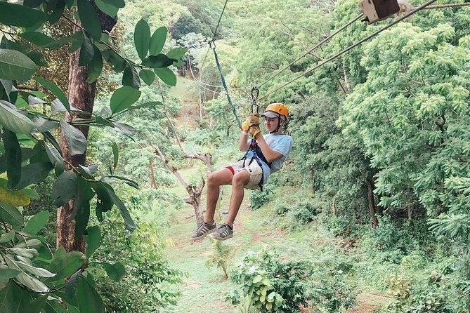 roatan-canopy-zipline-tour