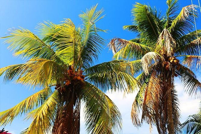 roatan-fun-bus-group-sightseeing-island-private-tour