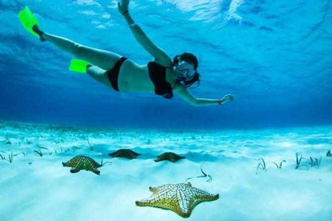 roatan-north-side-mangroves-starfish-shipwreck-snorkeling-transportation