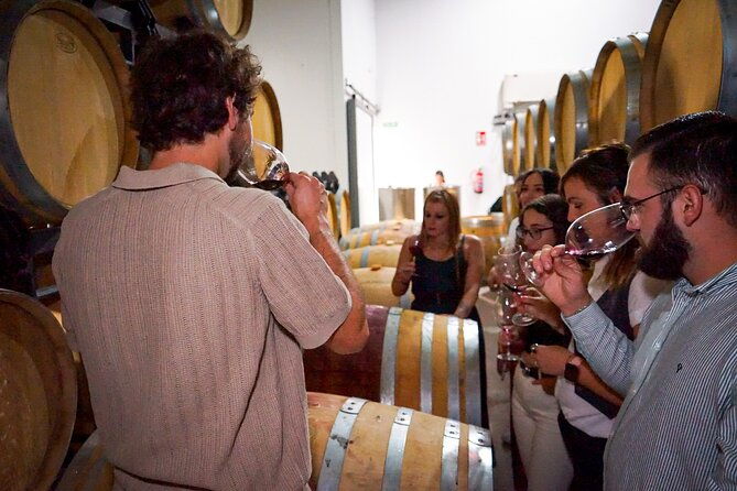ronda-from-malaga-top-quality-wine-tour-city-exploring