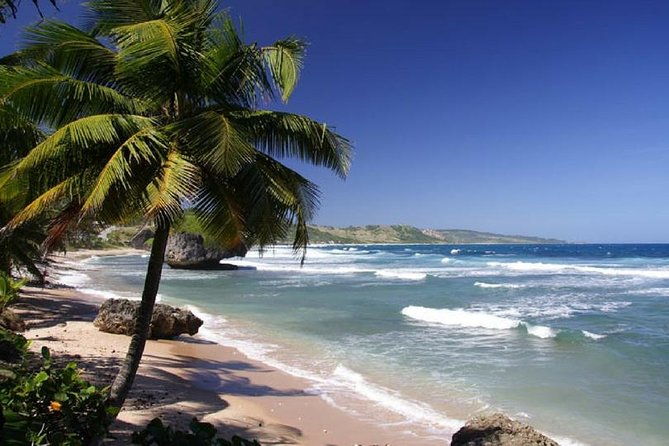 round-trip-transfer-liberia-airport-to-tamarindo