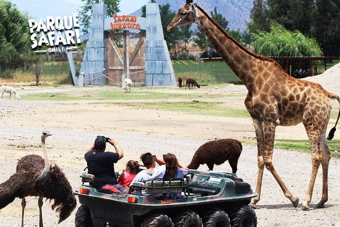 safari-park-full-day-from-santiago