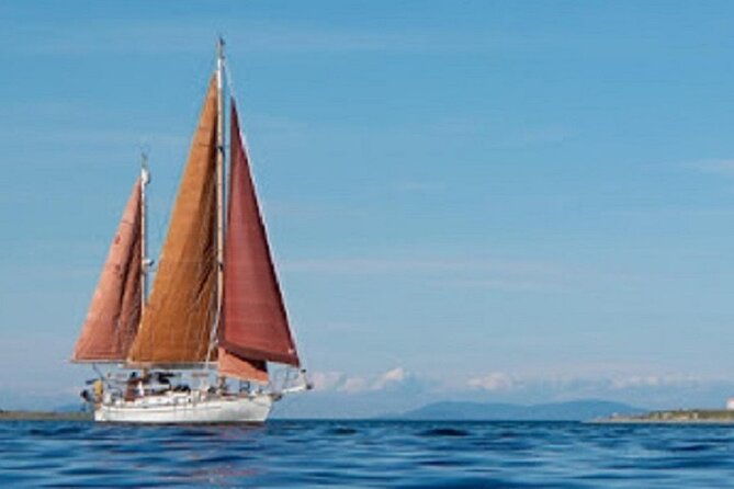 sailing-charter