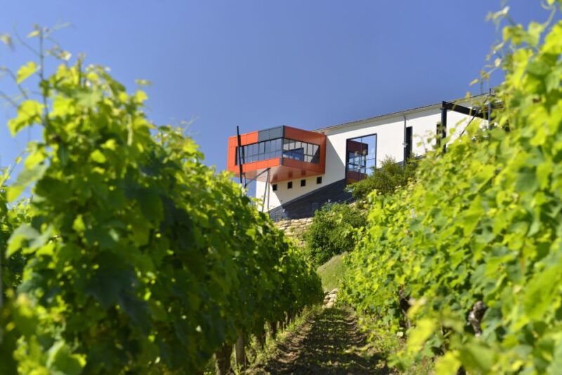 saint-emilion-grand-cru-classe-gourmet-visit