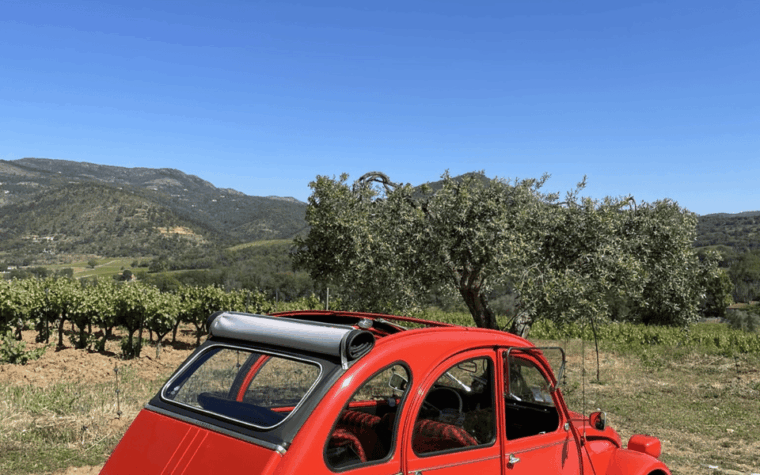 saint-tropez-vintage-car-wine-tour