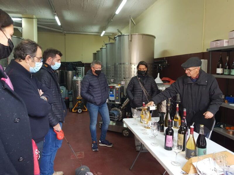 salou-priorat-tasting-wine-cellar-tour-with-hotel-pickup