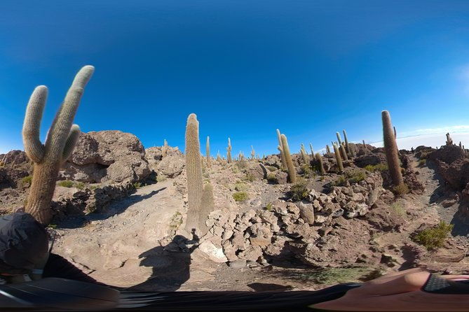 salt-flats-and-colored-lagoons-3d-2n-tour-transfer-to-san-pedro-de-atacama