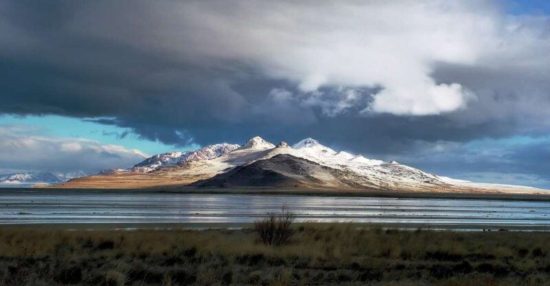 salt-lake-city-great-salt-lake-antelope-island-guided-tour