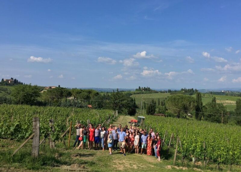 san-gimignano-premium-wine-tour-with-lunch