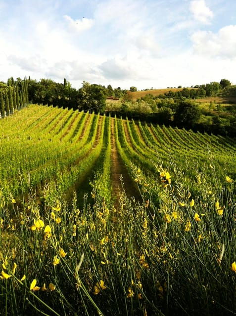 san-gimignano-tuscan-wine-bruschetta-tasting-for-families