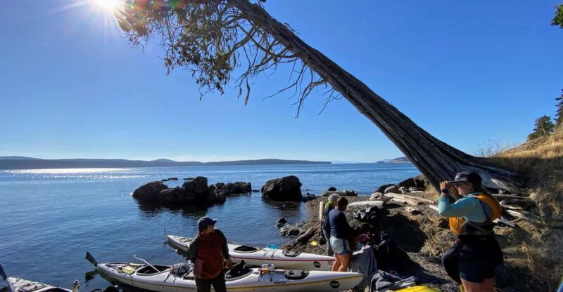 san-juan-islands-3-day-kayak-and-camping-adventure