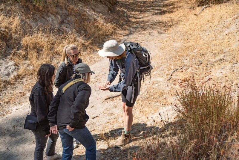 san-luis-obispo-margarita-ranch-foraging-tour