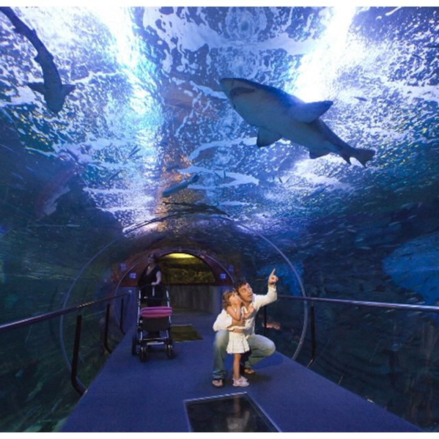 san-sebastian-aquarium-entry-ticket-and-city-walking-tour