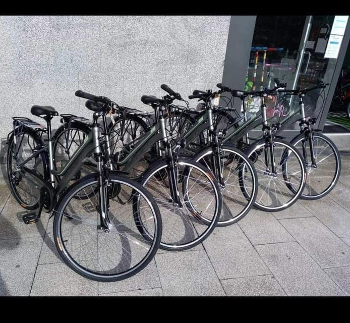 san-sebastian-bike-tour-with-free-snack-drink