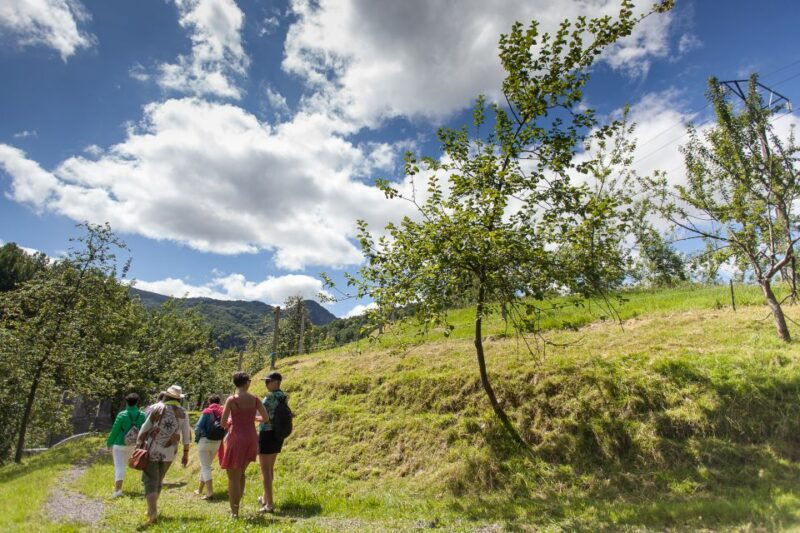 san-sebastian-traditional-cider-house-tour-with-lunch
