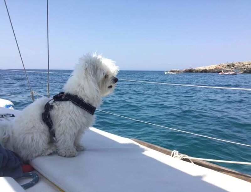 santa-maria-di-leuca-sailing-trip-with-lunch