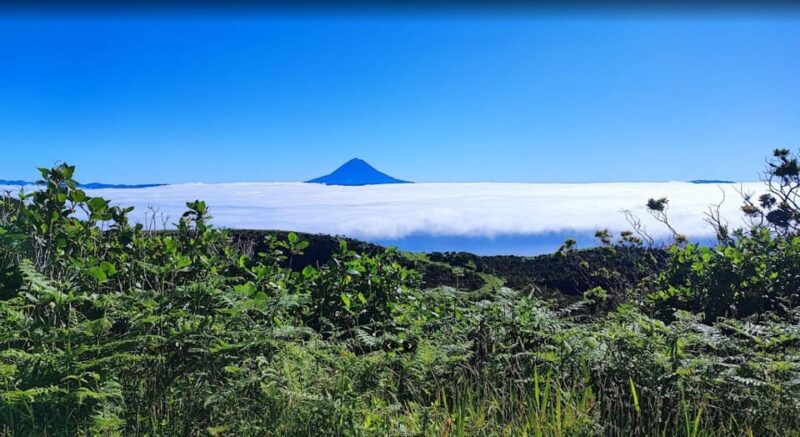 sao-jorge-island-forest-reserve-fajas-guided-tour