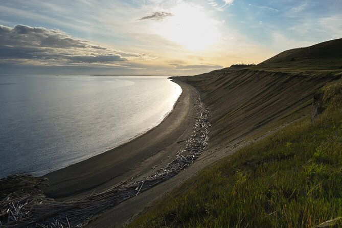 scenic-coast-and-wildlife-tour