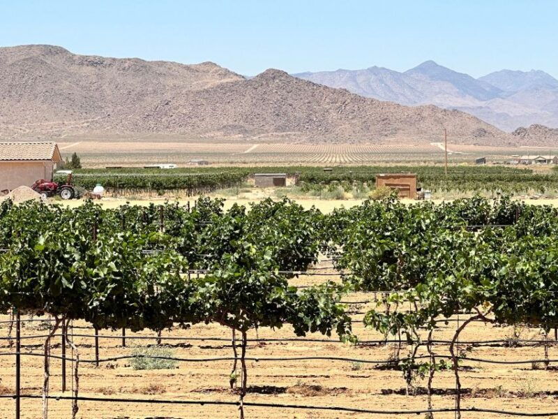 scenic-desert-wine-distillery-tastings-brewery-rt66-lunch
