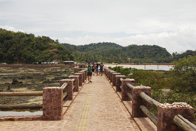 schooner-tour-to-ilha-dos-frades-and-itaparica-from-salvador