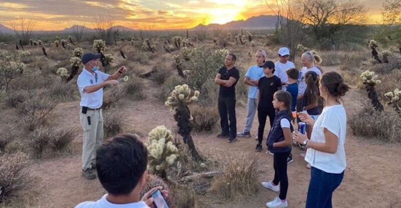 scottsdale-mcdowell-sonoran-preserve-hiking-tour