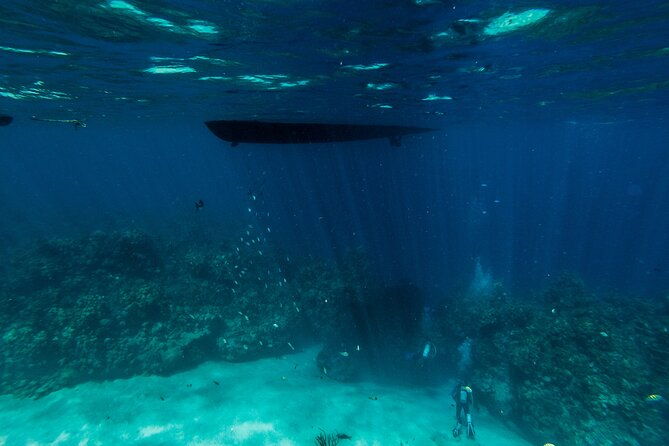 scuba-dive-in-the-west-end-of-roatan-with-private-transfer