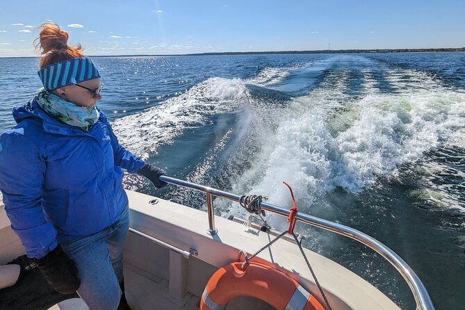 seal-watching-tour-near-malusi-islands