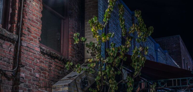 seattle-terrors-and-ghosts-guided-walking-tour