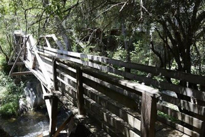self-guided-calaveras-scavenger-hunt-unfrogettable-angels-camp