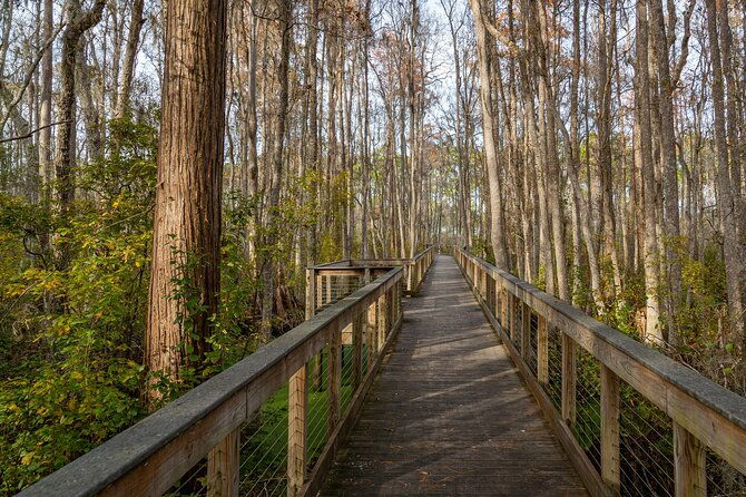 self-guided-e-bike-tour-of-panama-city-beach