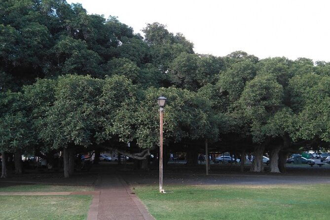 self-guided-scavenger-hunt-lahaina-over-the-rainbow