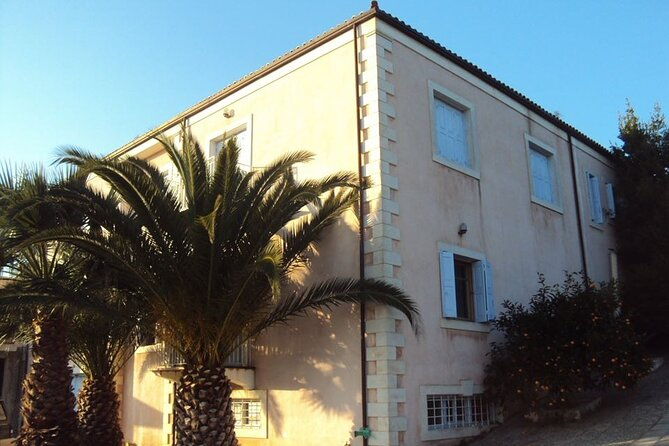 semi-private-olive-grove-and-dragon-fruit-farm-with-tastings