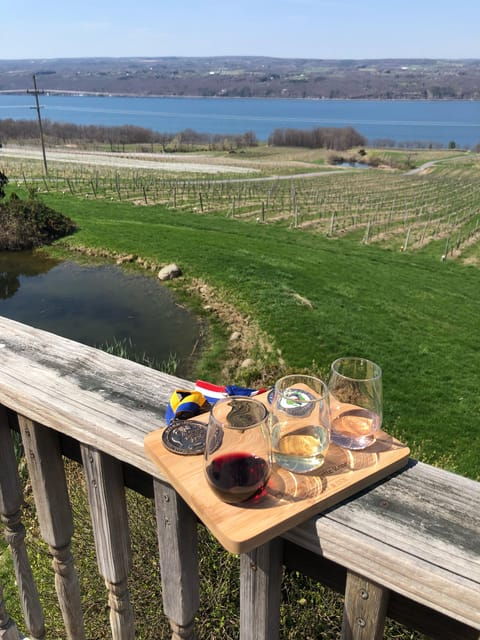 seneca-lake-wine-tasting-tour-with-lunch
