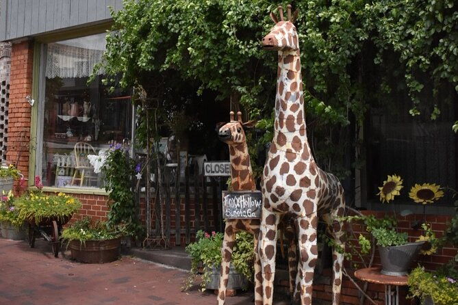 senoia-the-walking-dead-film-locations-2-hours-walking-tour
