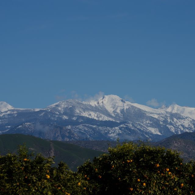 sequoia-national-park-sherman-tree-congress-trail-walk