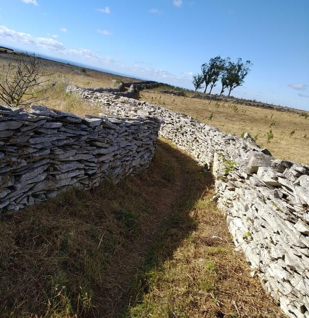 serras-de-aire-e-candeeiros-nature-geology-exploration