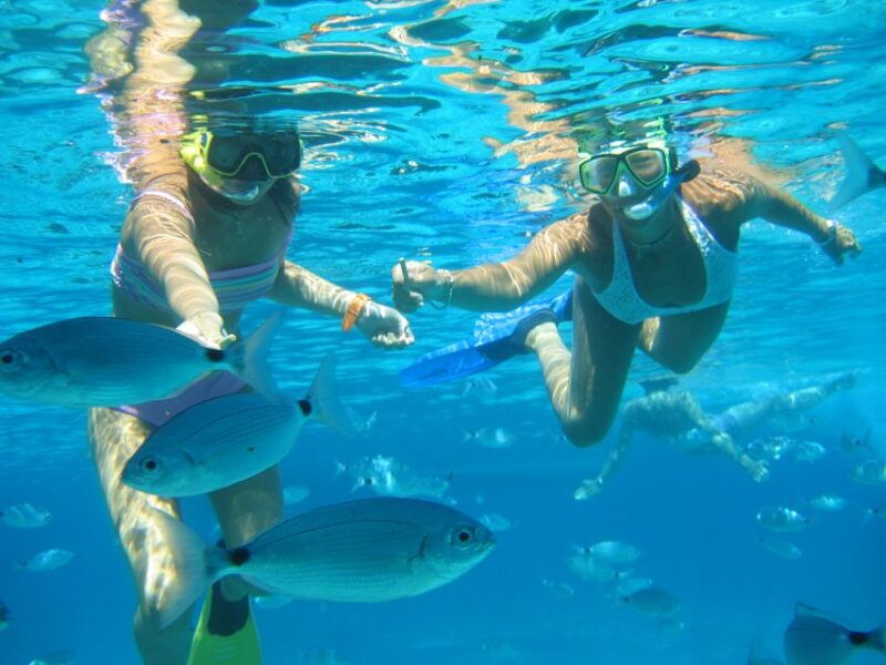 sespalmador-and-formentera-snorkeling-trip-by-rib-boat