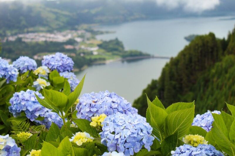 sete-cidades-lagoa-do-fogo-full-day-tour-with-lunch