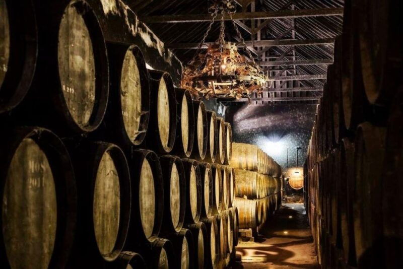 setubal-wine-tour-discover-the-moscatel-wine