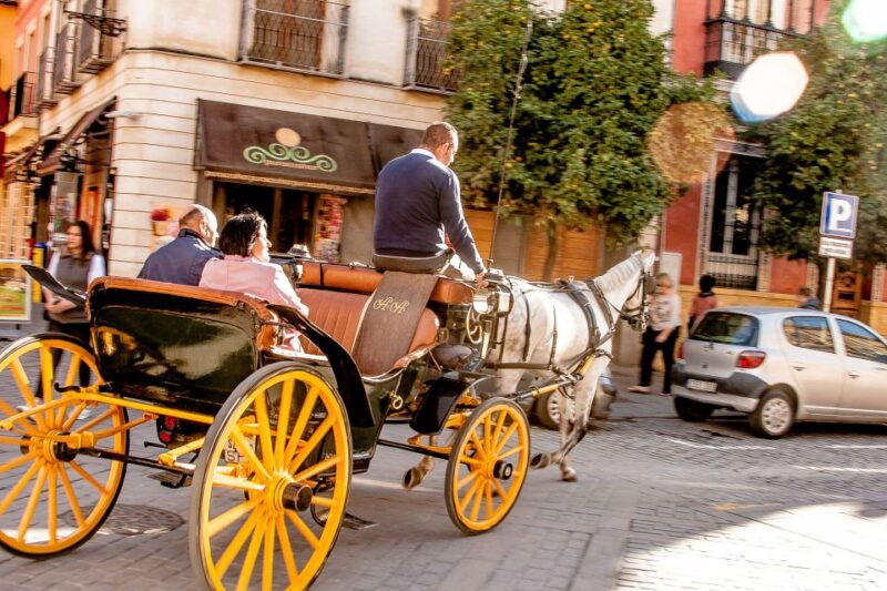 seville-authentic-and-romantic-horse-drawn-carriage-ride