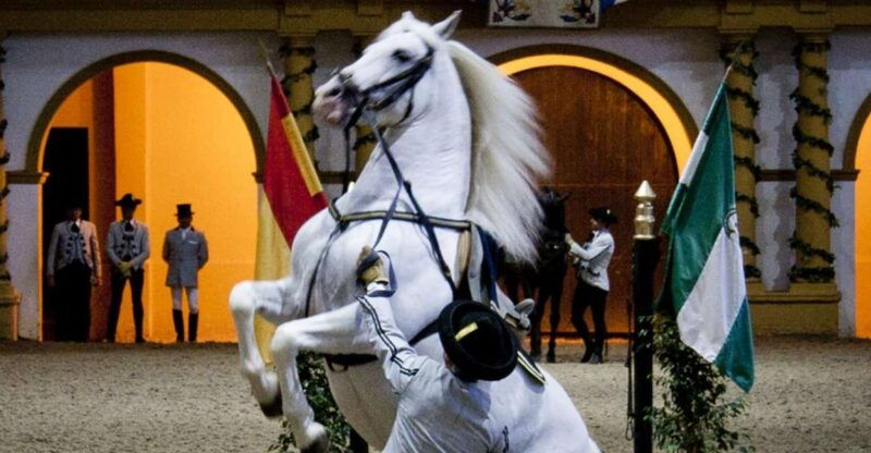 seville-jerez-cadiz-wine-tasting-with-optional-horse-show