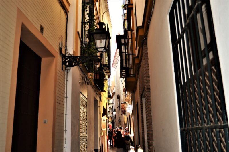 seville-plaza-de-toros-and-barrio-santa-cruz-tour