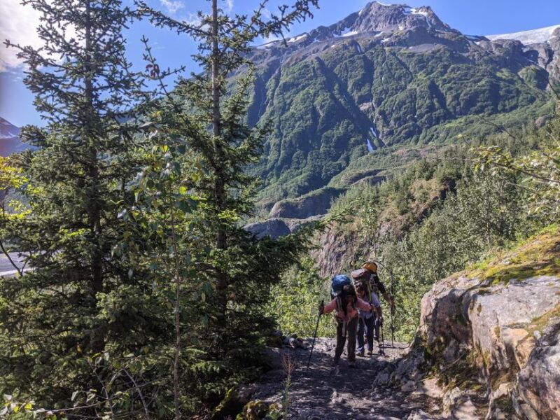 seward-guided-wilderness-hike-with-transfer