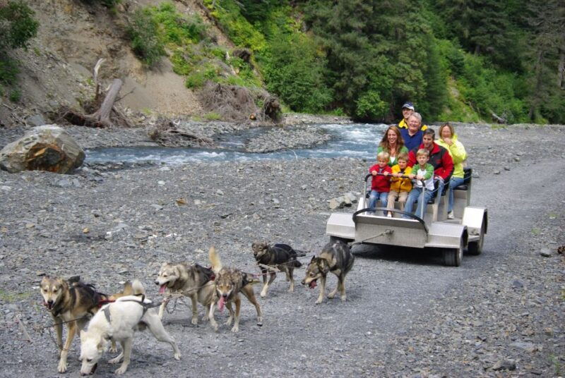 seward-summer-dog-sled-ride-and-seavey-estate-tour